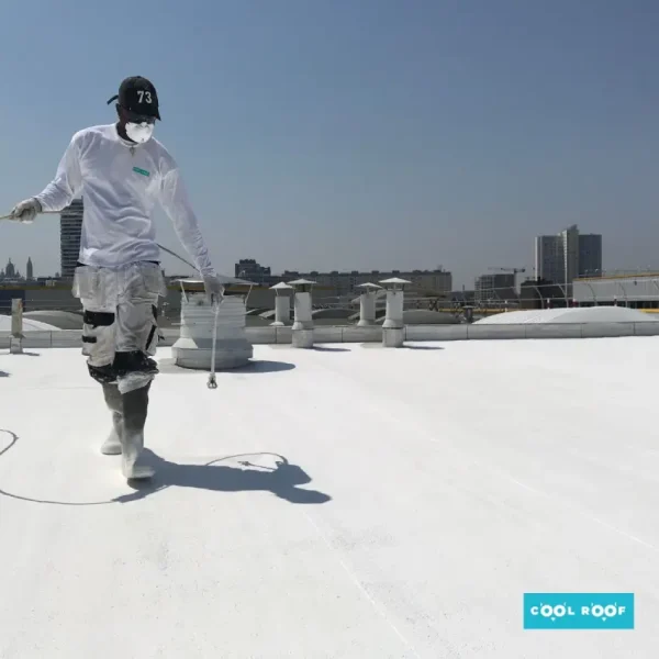Peinture blanche Cool Roof sur toiture